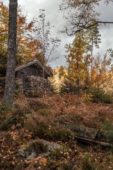 Malaskog Gamla Station Ryssby Buitenkant foto